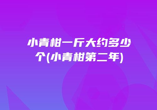 小青柑一斤大约多少个(小青柑第二年)