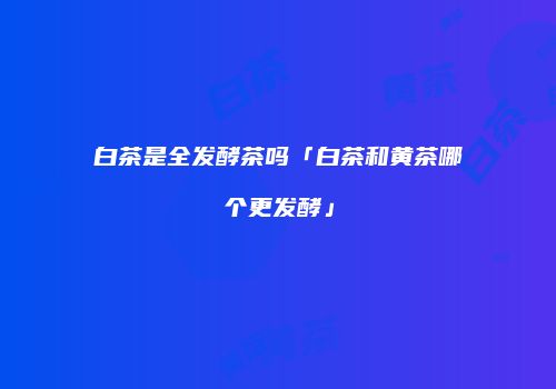 白茶是全发酵茶吗「白茶和黄茶哪个更发酵」
