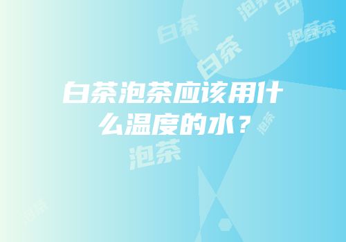 白茶泡茶应该用什么温度的水？
