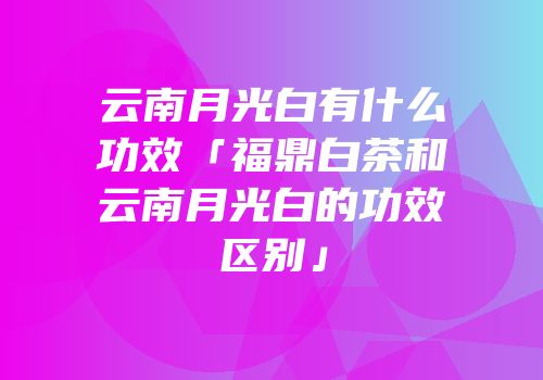 云南月光白有什么功效「福鼎白茶和云南月光白的功效区别」