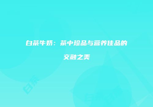 白茶牛奶：茶中珍品与营养佳品的交融之美