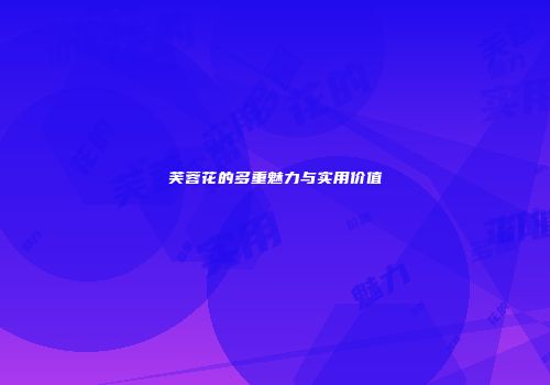 芙蓉花的多重魅力与实用价值