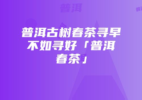 普洱古树春茶寻早不如寻好「普洱春茶」
