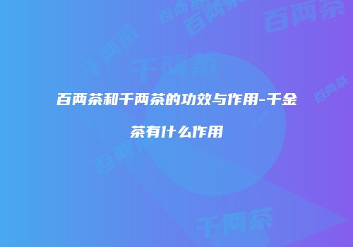 百两茶和千两茶的功效与作用-千金茶有什么作用