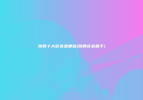 陕西十大茯茶是哪些(陕西茯茶属于)