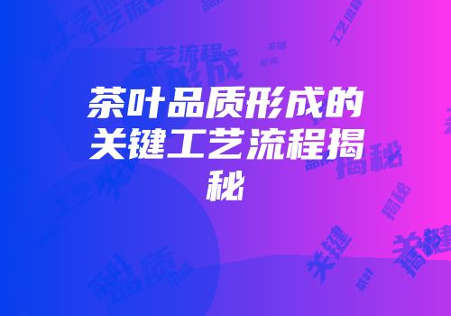 茶叶品质形成的关键工艺流程揭秘