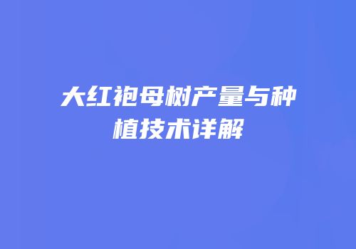 大红袍母树产量与种植技术详解