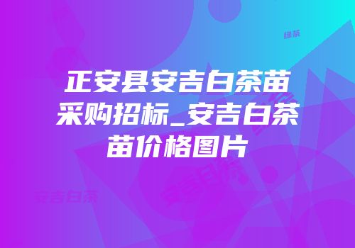正安县安吉白茶苗采购招标_安吉白茶苗价格图片