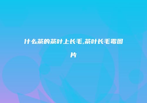 什么茶的茶叶上长毛,茶叶长毛霉图片