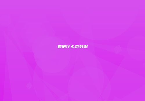 壶泡什么茶好喝