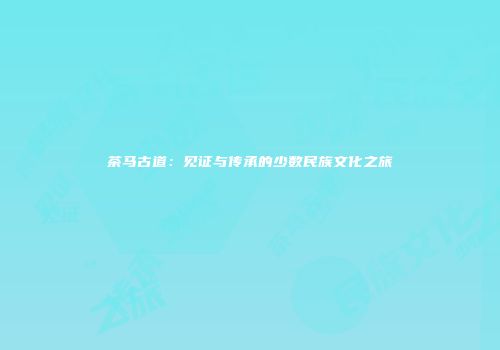 茶马古道：见证与传承的少数民族文化之旅
