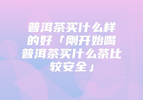 普洱茶买什么样的好「刚开始喝普洱茶买什么茶比较安全」