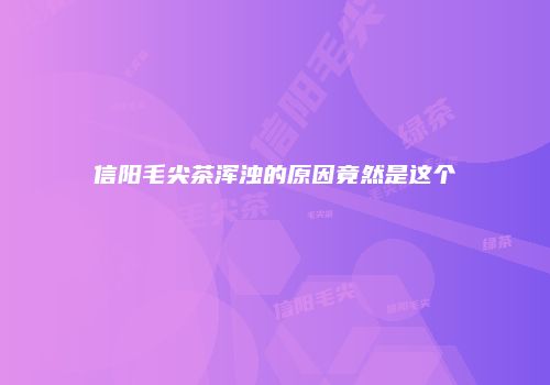 信阳毛尖茶浑浊的原因竟然是这个