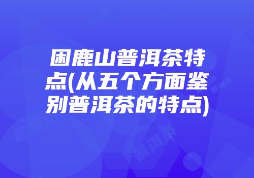 困鹿山普洱茶特点(从五个方面鉴别普洱茶的特点)