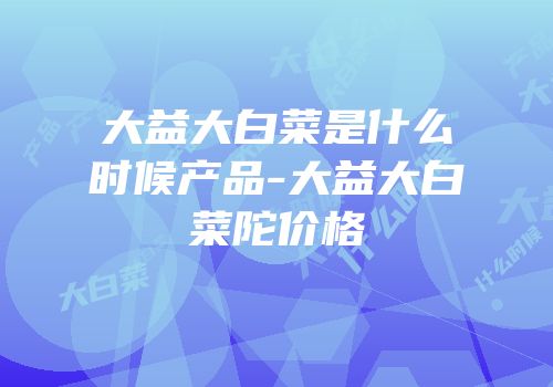 大益大白菜是什么时候产品-大益大白菜陀价格