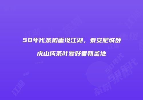 50年代茶树重现江湖，泰安肥城卧虎山成茶叶爱好者朝圣地