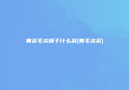 黄茶毛尖属于什么茶(黄毛尖茶)