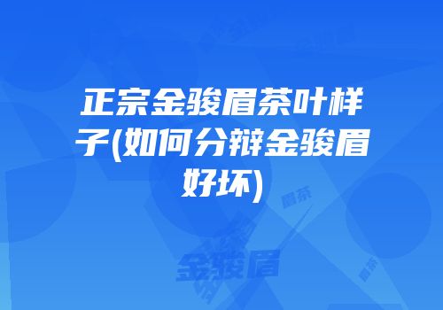 正宗金骏眉茶叶样子(如何分辩金骏眉好坏)