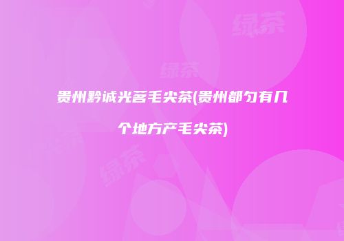 贵州黔诚光茗毛尖茶(贵州都匀有几个地方产毛尖茶)