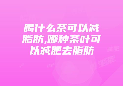 喝什么茶可以减脂肪,哪种茶叶可以减肥去脂肪