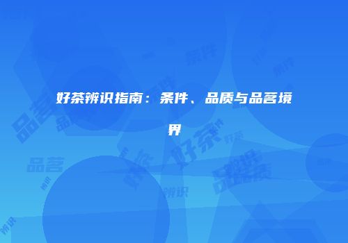 好茶辨识指南：条件、品质与品茗境界