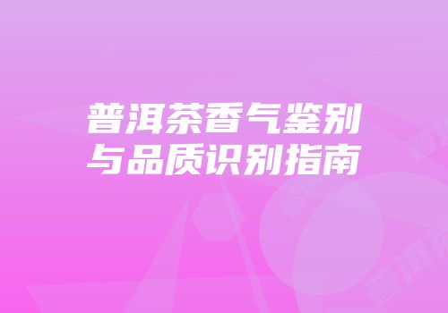 普洱茶香气鉴别与品质识别指南