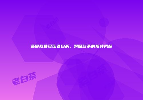 品尝政合珍珠老白茶，领略白茶的独特风味