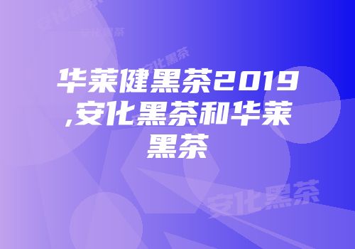 华莱健黑茶2019,安化黑茶和华莱黑茶