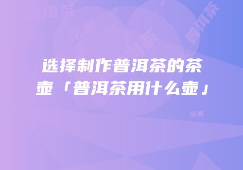 选择制作普洱茶的茶壶「普洱茶用什么壶」