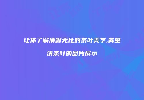 让你了解清晰无比的茶叶美学,雾里清茶叶的图片展示