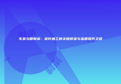 毛茶与精制茶：茶叶加工的关键桥梁与品质提升之路
