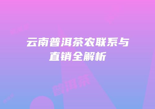 云南普洱茶农联系与直销全解析