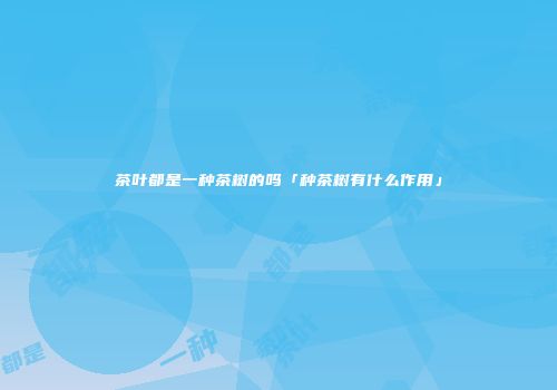 茶叶都是一种茶树的吗「种茶树有什么作用」