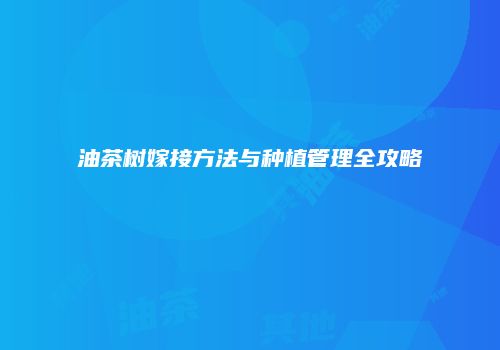 油茶树嫁接方法与种植管理全攻略