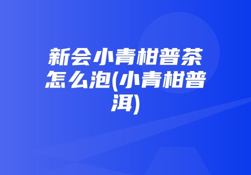 新会小青柑普茶怎么泡(小青柑普洱)