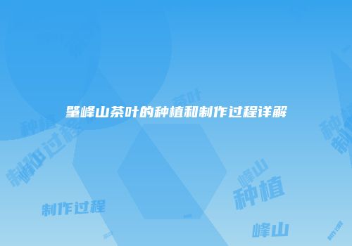 肇峰山茶叶的种植和制作过程详解