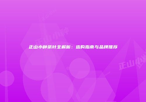 正山小种茶叶全解析：选购指南与品牌推荐