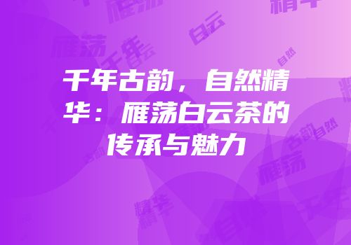 千年古韵，自然精华：雁荡白云茶的传承与魅力
