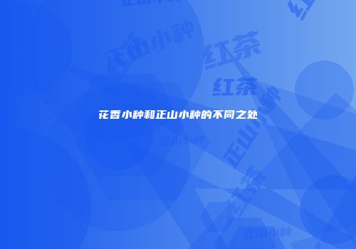 花香小种和正山小种的不同之处