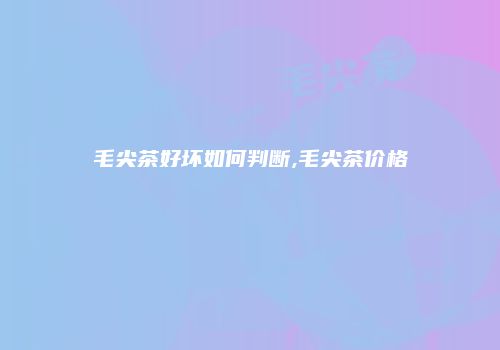 毛尖茶好坏如何判断,毛尖茶价格