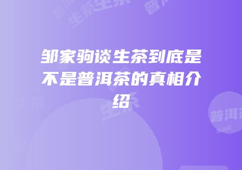 邹家驹谈生茶到底是不是普洱茶的真相介绍