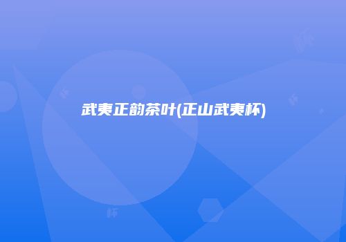 武夷正韵茶叶(正山武夷杯)
