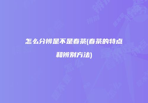 怎么分辨是不是春茶(春茶的特点和辨别方法)