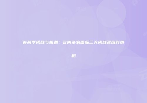 春茶季挑战与机遇：云南茶农面临三大挑战及应对策略