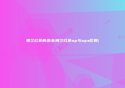 锡兰红茶的泡法(锡兰红茶op与opa区别)