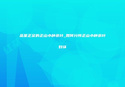 品鉴正宗的正山小种茶叶_如何分辨正山小种茶叶好坏