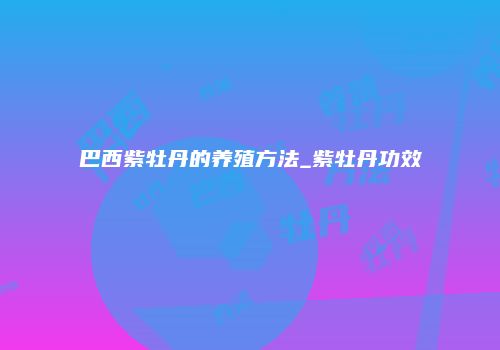 巴西紫牡丹的养殖方法_紫牡丹功效