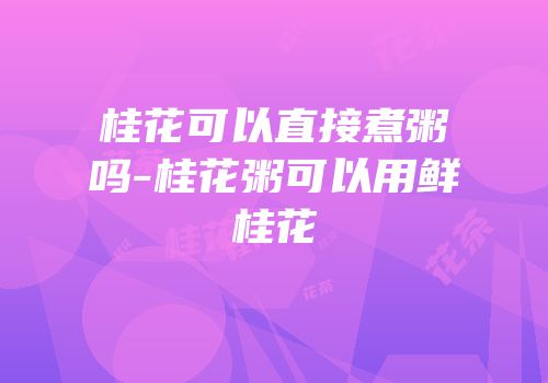 桂花可以直接煮粥吗-桂花粥可以用鲜桂花