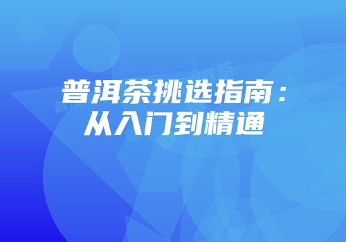 普洱茶挑选指南：从入门到精通