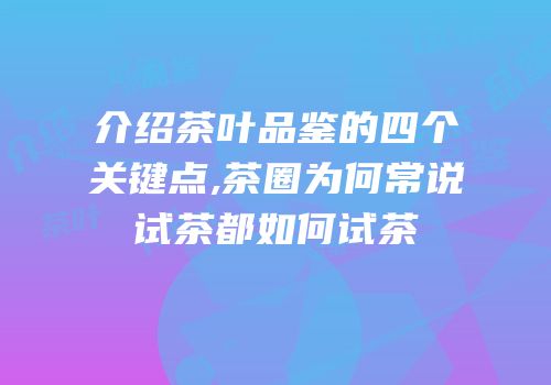 介绍茶叶品鉴的四个关键点,茶圈为何常说试茶都如何试茶